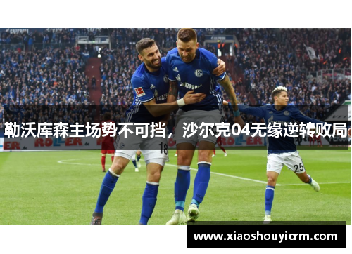 勒沃库森主场势不可挡，沙尔克04无缘逆转败局