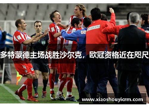 多特蒙德主场战胜沙尔克，欧冠资格近在咫尺