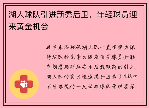 湖人球队引进新秀后卫，年轻球员迎来黄金机会